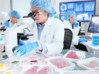 Công nghệ thực phẩm