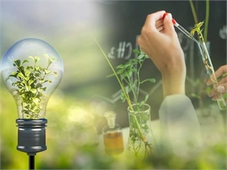 Công nghệ kỹ thuật môi trường
