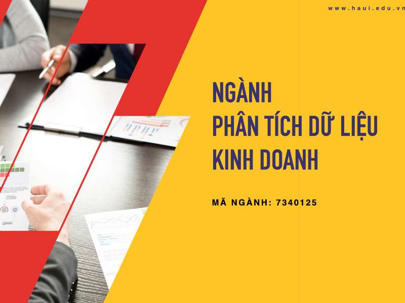 Ngành Phân tích dữ liệu kinh doanh