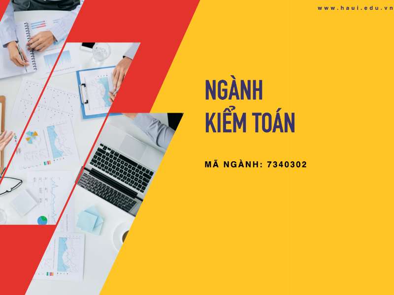 Ngành Kiểm toán