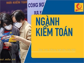 Ngành: Kiểm toán