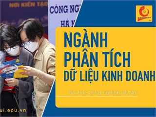 Ngành: Phân tích dữ liệu kinh doanh